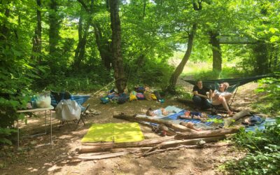 Journée forêt