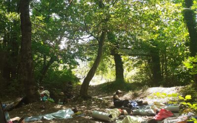 Dernière journée en foret de l’année