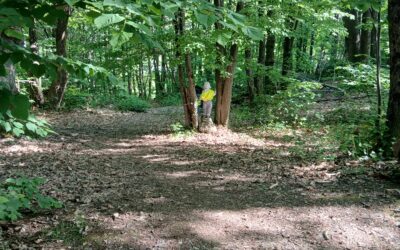 Sortie Forêt 30 avril 2026