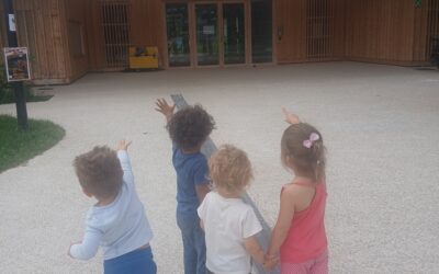 Sortie école